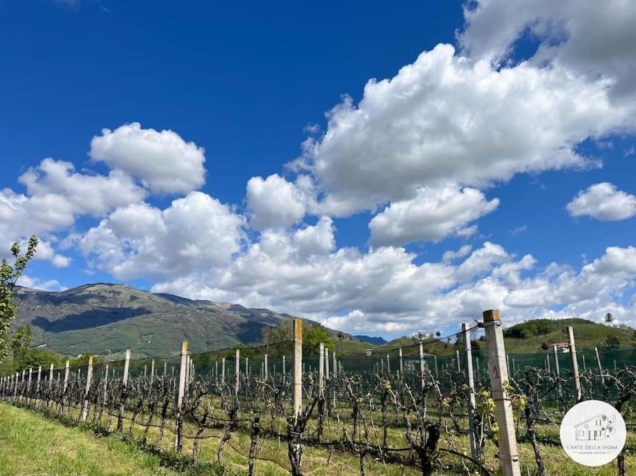 Villa Casa L'Arte Della Vigna Bigolino Esterno foto